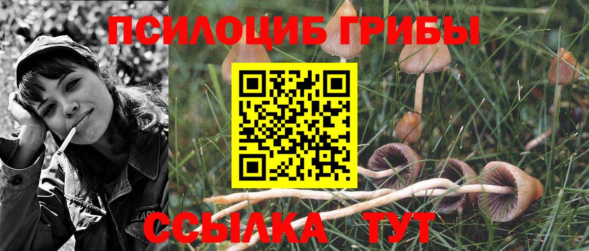 Хабаровск  Галлюциногенные грибы Psilocybe  Вход с VPN  Галлюциногенные грибы мухоморы 